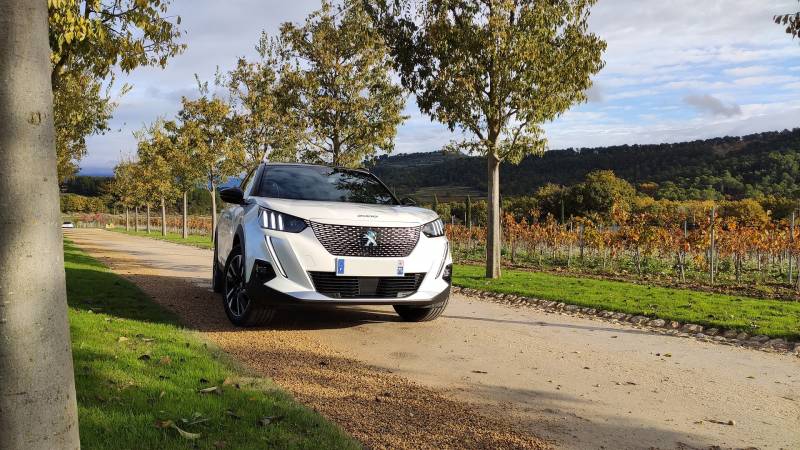 Voiture d'occasion électrique Peugeot disponible en concession à Chanas 38